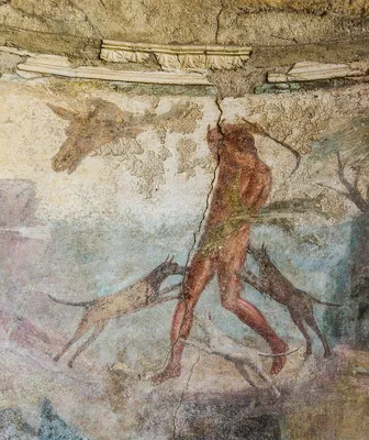 File:Roman fresco Villa dei Misteri Pompeii 005.jpg - Wikipedia