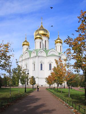 File:Екатерининский дворец (Пушкин), Санкт-Петербург 2H1A2748WI.jpg -  Wikimedia Commons