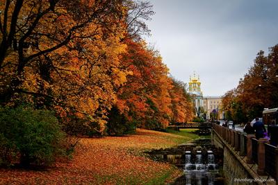 Пушкин, Санкт-Петербург - пейзажи и фотографии