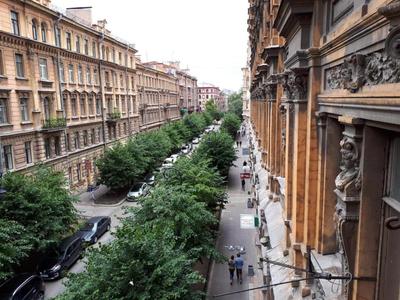 Пушкинский Петербург: куда сходить, что посмотреть