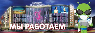 В ТРЦ «Галерея Новосибирск» закрылся фирменный магазин Apple | Sobaka.ru