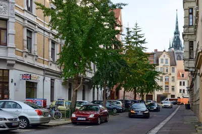 Marktkirche Unser Lieben Frauen, Халле (Заале): лучшие советы перед  посещением - Tripadvisor