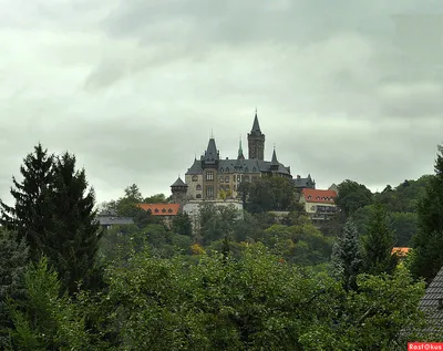 THALE. BODETAL. HARZ. ТАЛЕ. УЩЕЛЬЕ БОДЕ. ГАРЦ. ГЕРМАНИЯ. 6 шт. Чистые. —  покупайте на Auction.ru по выгодной цене. Лот из СПб. Продавец pvo72. Лот  189666702809530