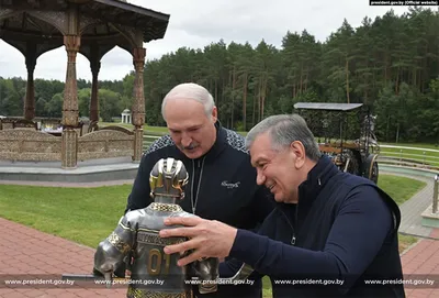 Лукашенко о пострадавших от Чернобыля районах: на этой земле можно жить, и  мы будем жить