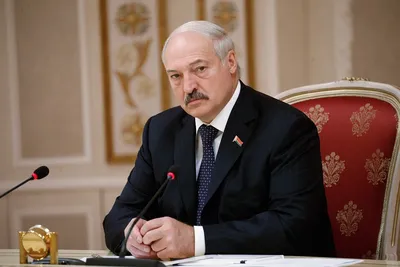 У президента Беларуси Лукашенко живет хамелеон Жорик | | Infopro54 -  Новости Новосибирска. Новости Сибири
