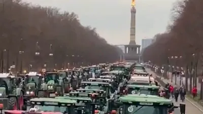 Брошь герб берлина германия натуральный перламутр ракушка лату... - купить  недорого б/у на ИЗИ (38064263)