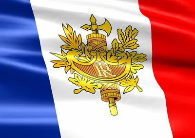 Герб и флаг Франции Векторное изображение ©frizio 89560146
