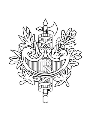 Герб Франции официальный на ес флага Иллюстрация вектора - иллюстрации  насчитывающей согласования, патриот: 171685445