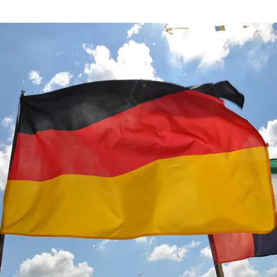 герб германии заявил о геральдических иконах Иллюстрация вектора -  иллюстрации насчитывающей германия, федеральное: 217292523