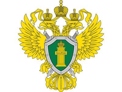 Что изображено на гербах городов и районов Татарстана - 3 апреля 2022 -  116.ру