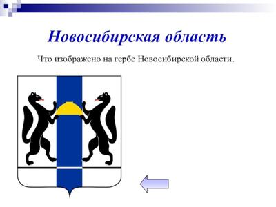 Коммерческим организациям разрешат использовать герб и флаг Новосибирска |  НДН.Инфо