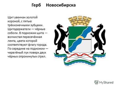 Герб с соболями или с факелом: опрос проводит вице-мэр Анна Терешкова |  29.11.2021 | Новосибирск - БезФормата