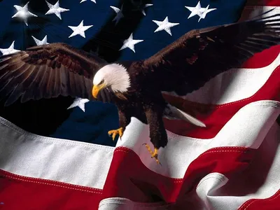 Флаг США 13 Звезд 1777-1795 3D Модель $9 - .blend .dae .fbx .gltf .obj  .unknown - Free3D