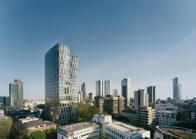 Франкфурт-на-Майне — Википедия