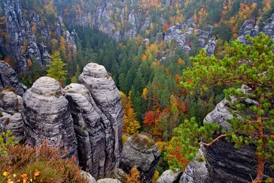 Природа Германии (Множество фотографий) - treepics.ru