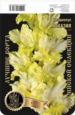 Гладиолус Крупноцветковый Хеопс – купить луковицы в интернет-магазине Лафа  с доставкой по Москве, Московской области и России