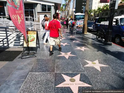 Голливудская \"Аллея славы\" - Лос-Анджелес, США - где находится, описание,  цены, фото, отзывы 2023
