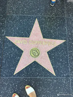 лос-анджелес сша 15 июля 2017 : аллея звезд в голливуде Редакционное  Стоковое Фото - изображение насчитывающей америка, знак: 216518673