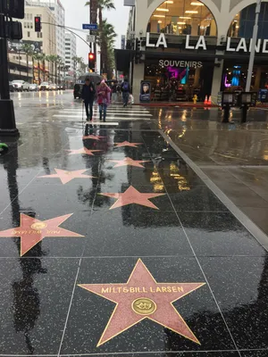 Голливудская «Аллея славы» или аллея звезд (Hollywood Walk of Fame), США .  Местоположение