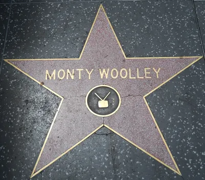 Прогулка по Голливудской Аллеи славы Hollywood Walk of Fame Los Angeles -  YouTube