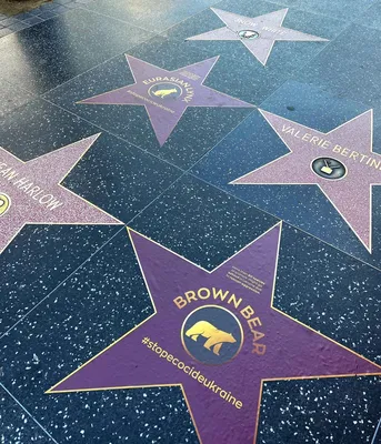 Лос-Анджелес — Аллея звезд, знак «Голливуд» и Беверли-Хиллз, отзыв от  туриста Sheboldasik на Туристер.Ру