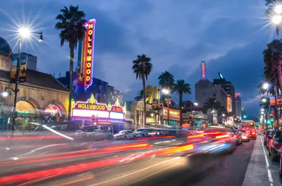 Калифорния: Голливуд, стартапы и деревья-гиганты | ShareAmerica