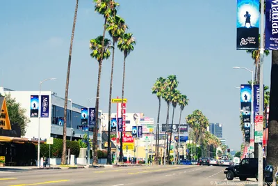 США: «город ангелов» Лос-Анджелес — достопримечательности, впечатления,  фото | Город ангелов, Лос-анджелес, Город