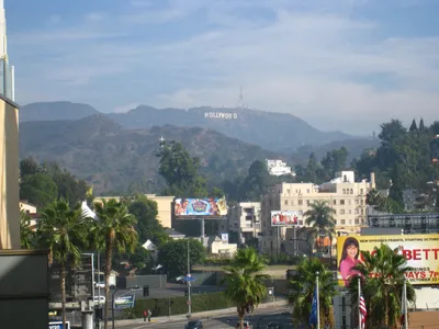 Как на склоне Лос-Анджелеса возник «HOLLYWOOD»: история самой знаменитой  надписи Америки | myDecor
