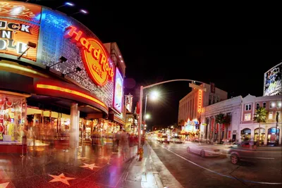 Best Things to Do in Hollywood, California