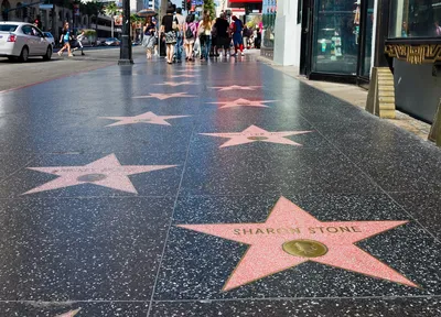 Calls to remove Trump's Walk of Fame star stump City Council - Los Angeles  Times