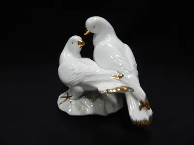 Любовь и зоревые: кто сейчас занимается редкой породой воронежских голубей  | 36on.ru