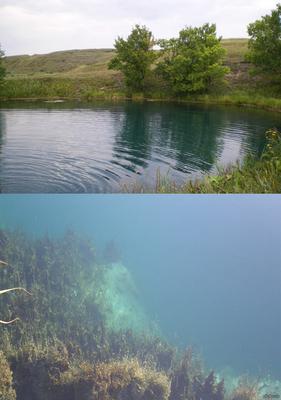 Памятник природы «Голубое Озеро» в Самарской области - Организация