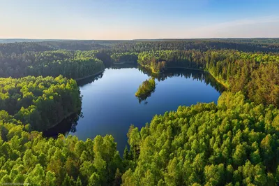 Голубые озера Беларусь (55 фото) - 55 фото