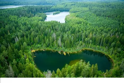 Беларусь. Голубые озера. Голубые озера. Релакс - тур.