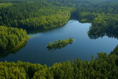 Экскурсия в Голубые Озёра, незабываемая красота природы Беларуси - Такси  трансфер Минск