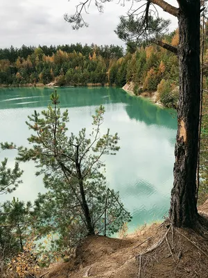 Blue Lakes (Stracha river, forest, Dead Lake, Lake Glublya) - ecological  trail (Belarus) - YouTube