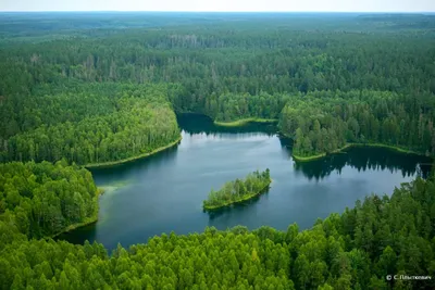 Голубые озера Беларусь | Где находятся. Экскурсии. Ночлег