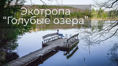 Природа Беларуси: озёра, реки и леса находящиеся на территории страны