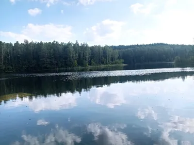 Голубые озера и храмы | Экскурсии по Беларуси