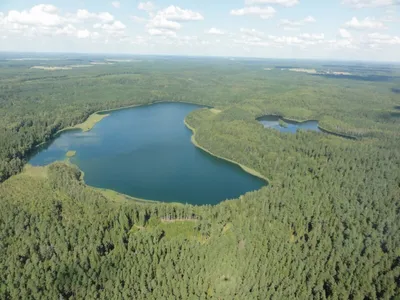 Экологическая тропа \"Голубые озера\", Минская область, Беларусь - «Чудесное  место! Следующим летом обязательно вернусь!» | отзывы