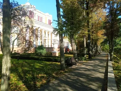 Гомель — старинный белорусский город с прекрасным дворцово-парковым  ансамблем, интересной архитектурой и музеями | Посмотреть Россию из окна  авто | Дзен