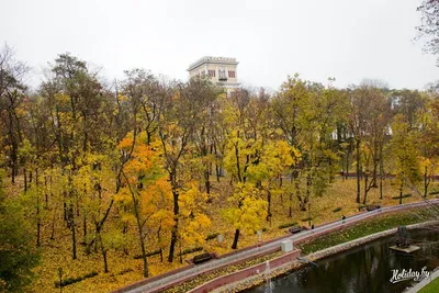 Аллея в гомельском парке. Гомель. Гостинная во дворце восстановлена в  лучщих традициях Эрмитажа. Достопримечательности Гомеля. История Гомеля.  Интересные места в Гомеле. Фото Гомеля. Экскурсия в Гомель. Как добраться  до Гомеля. Экскурсии по