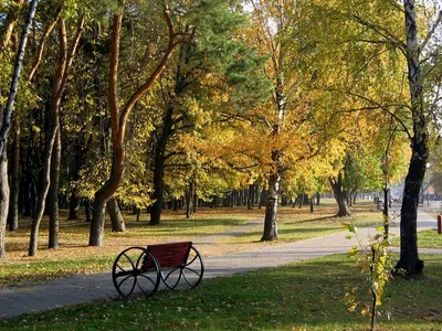 Фото: Парк Фестивальный, парк культуры и отдыха, Гомель, Фестивальный парк  — Яндекс Карты
