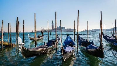 Гондолы в Венеции: об этом мало кто знает | Ретранслятор.RU | Дзен