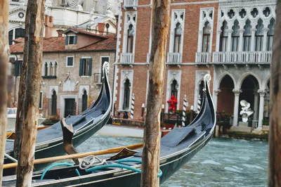 Почему в Венеции все гондолы чёрные | Tour2Go | Дзен