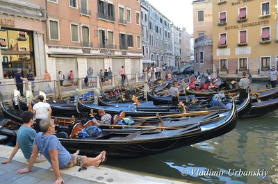 Италия 2023: гондолы в Венеции | Наш Урал и весь мир. Цели и маршруты для  самостоятельных поездок | Дзен