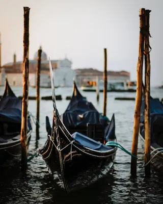 Почему в Венеции все гондолы чёрные | Tour2Go | Дзен