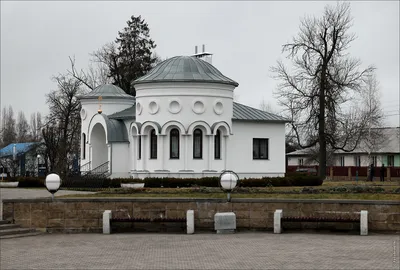 У Дворца Республики стоит зеленая береза. Почему дерево не сбросило листья,  объясняет специалист - Минск-новости