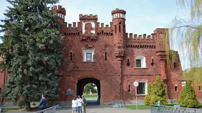 Посещение Мемориального комплекса «Брестская крепость-герой»