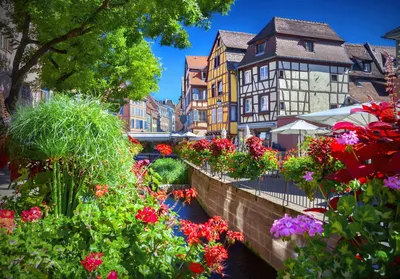 Кольмар - город рождества в Эльзасе, Франции Стоковое Фото - изображение  насчитывающей старо, оформление: 127774866